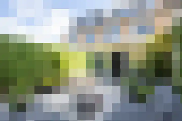 Westduinen 51 Amstelveen thumbnail 38