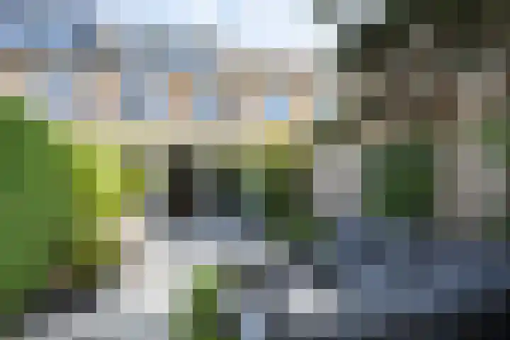 Westduinen 51 Amstelveen thumbnail 39