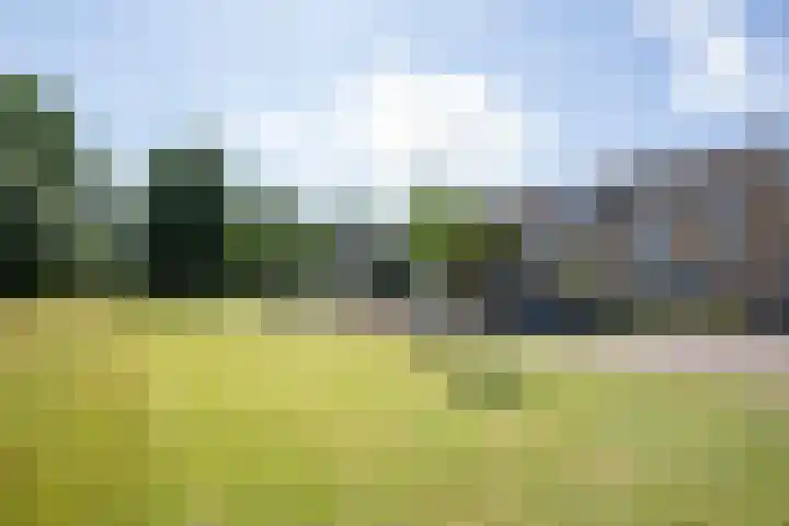 Westduinen 51 Amstelveen thumbnail 41