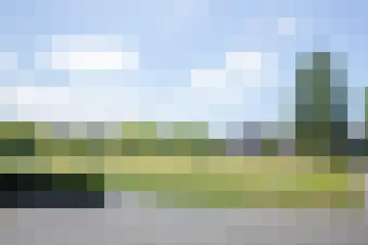 Westduinen 51 Amstelveen thumbnail 43