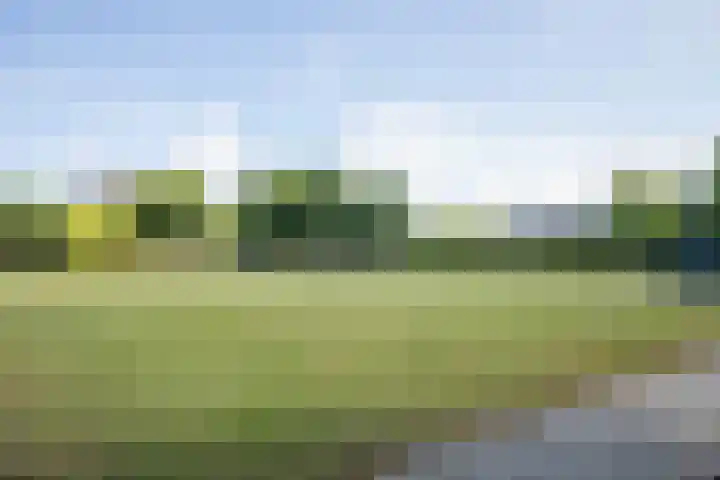 Westduinen 51 Amstelveen thumbnail 44