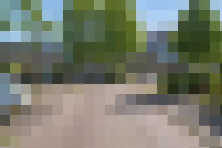 Westduinen 87 Amstelveen thumbnail 42