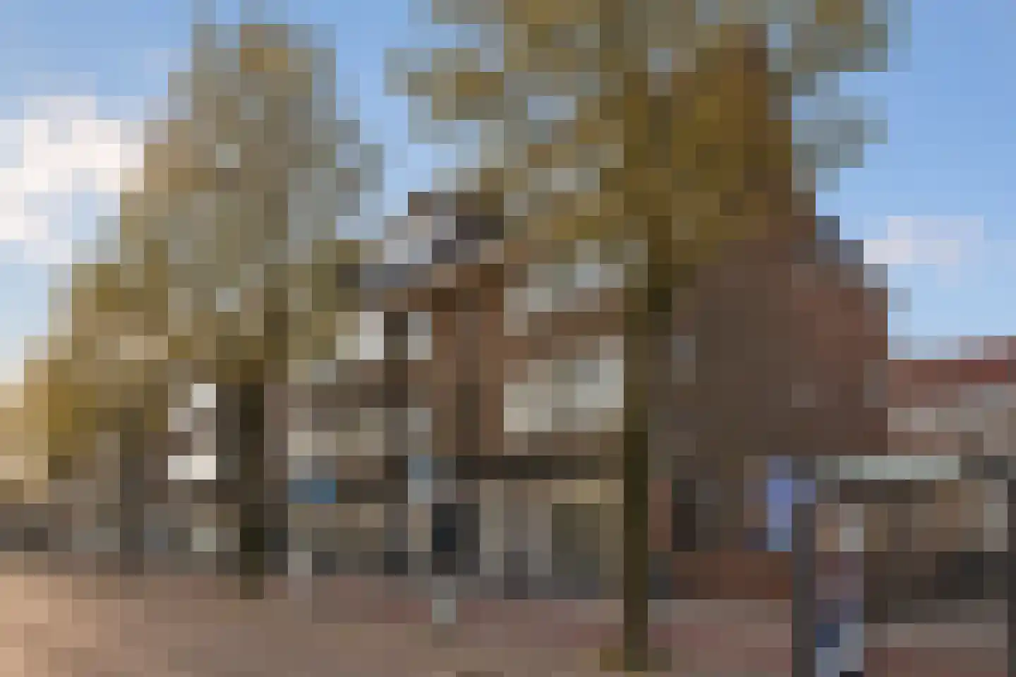 Westduinweg 34 A Den Haag thumbnail 4