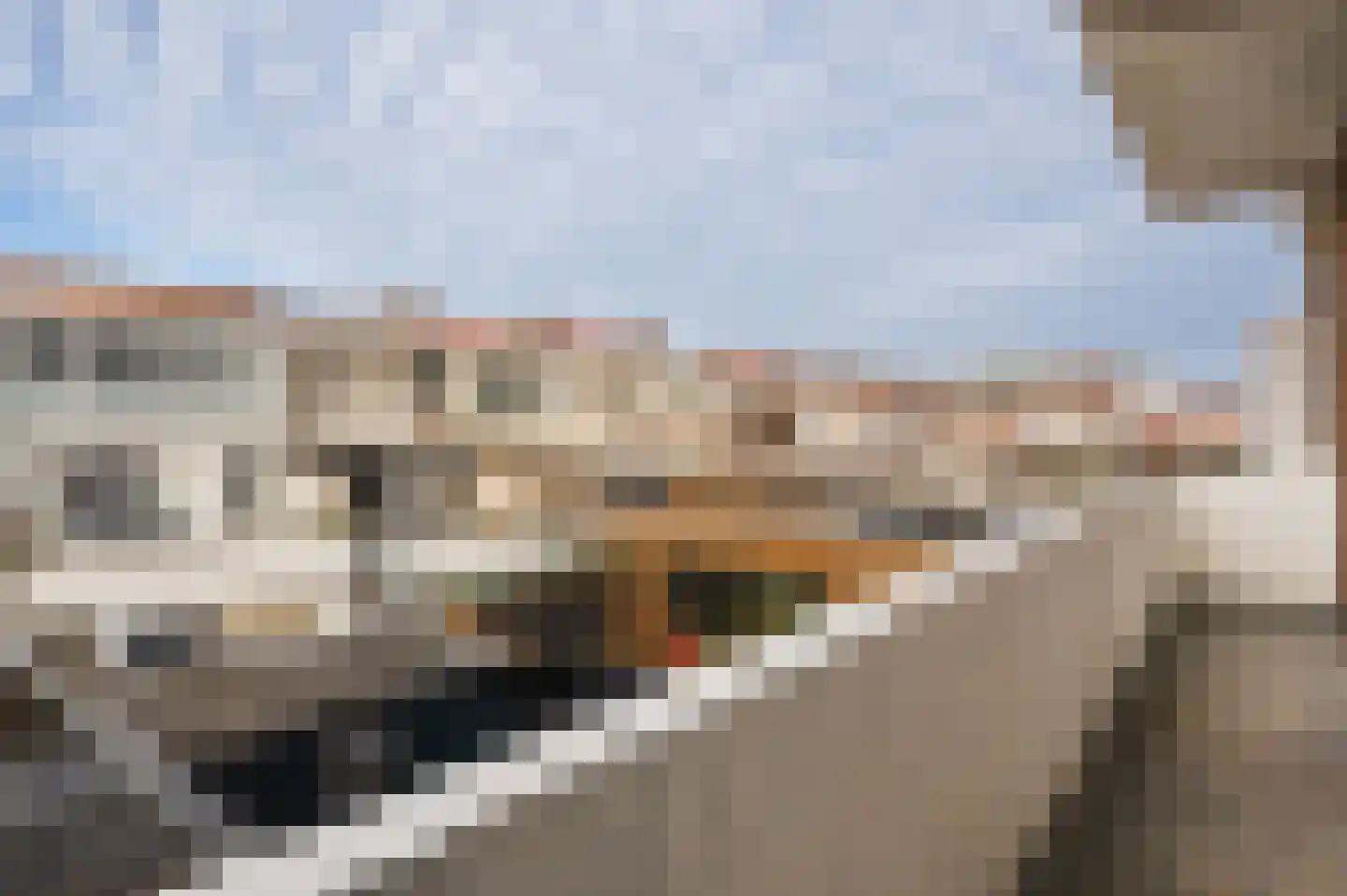 Westduinweg 66 D Den Haag thumbnail 8