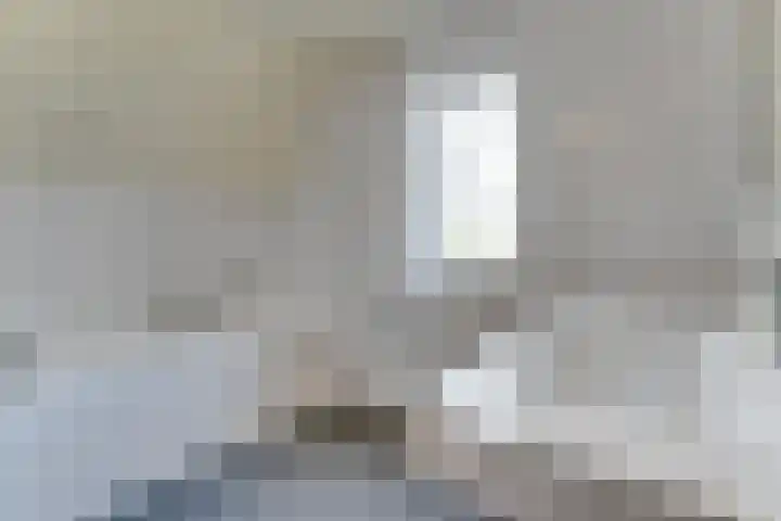 Westduynen 16 Cadzand thumbnail 21