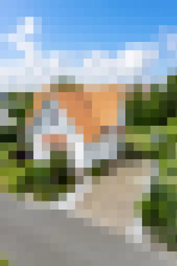 Westduynen 16 Cadzand thumbnail 28