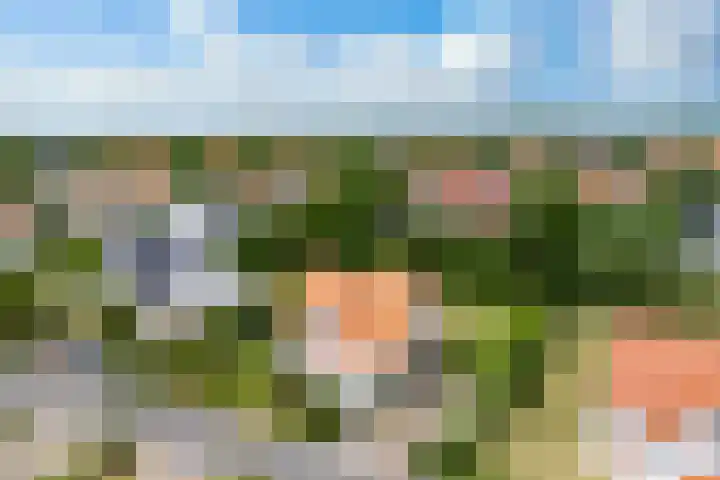 Westduynen 16 Cadzand thumbnail 29