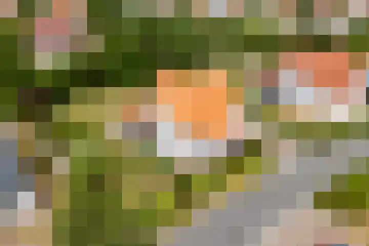 Westduynen 16 Cadzand thumbnail 30