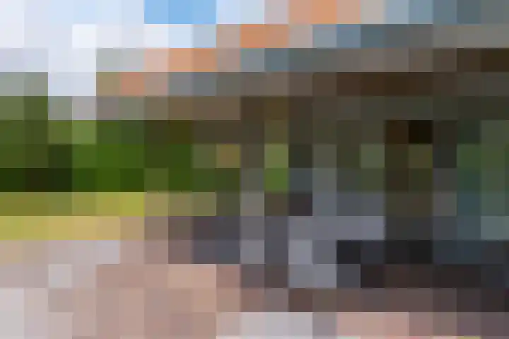 Westduynen 16 Cadzand thumbnail 4