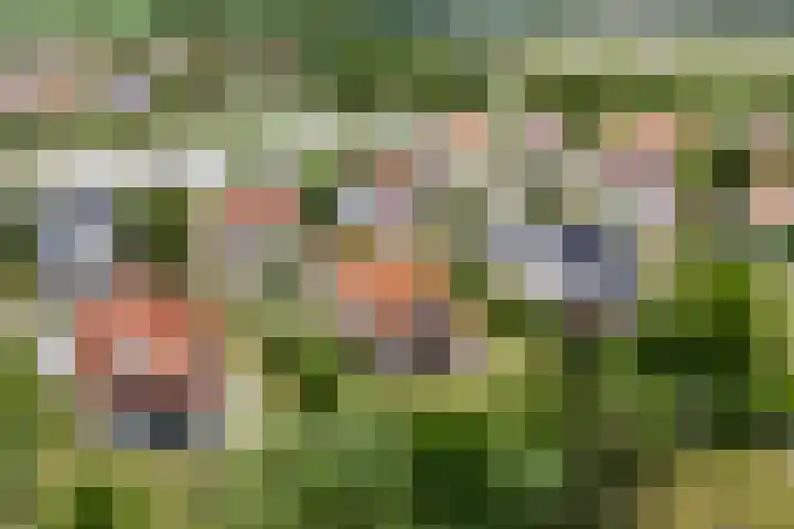 Westduynen 16 Cadzand thumbnail 7