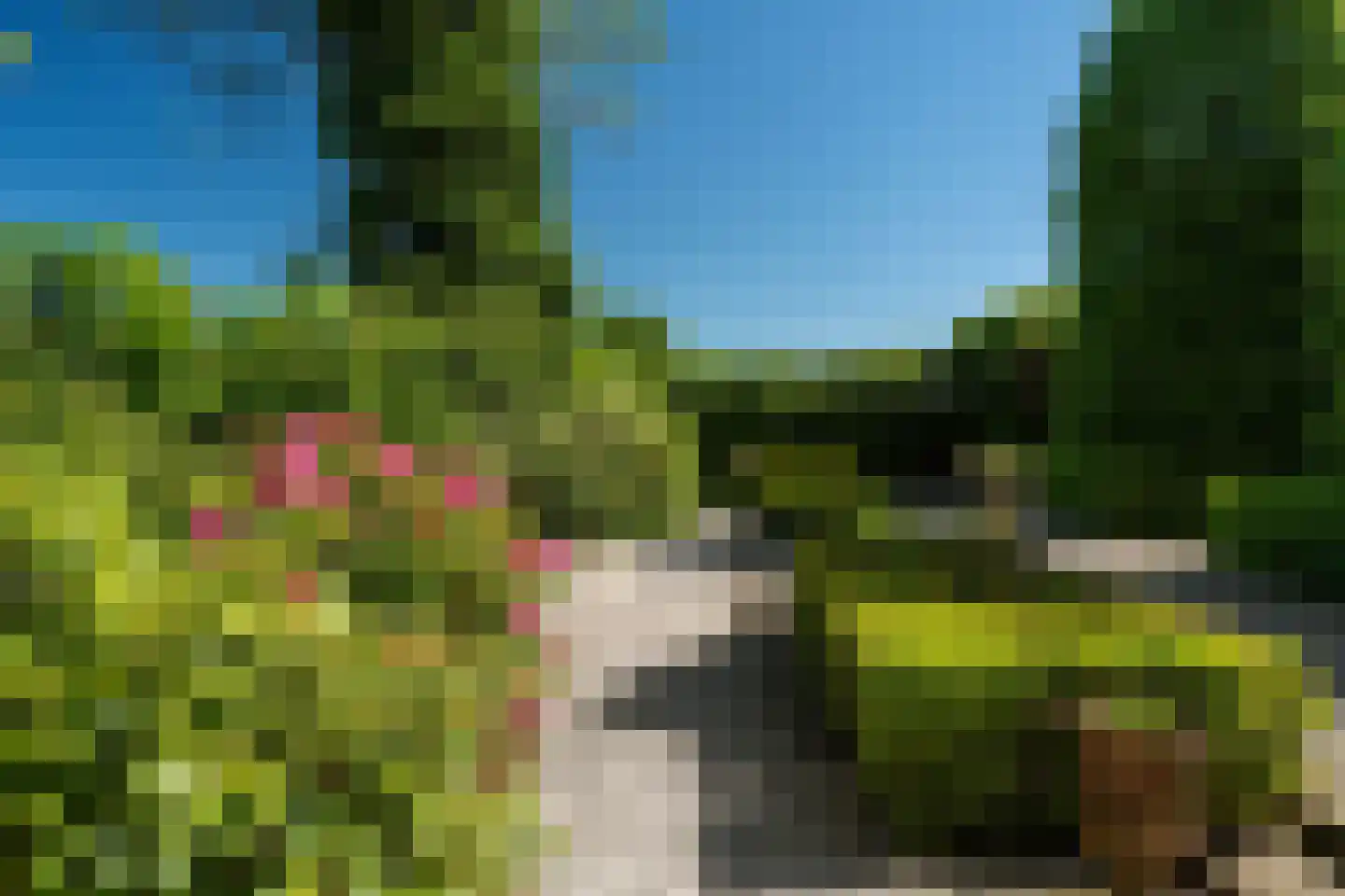 Westein 14 Aldeboarn thumbnail 10