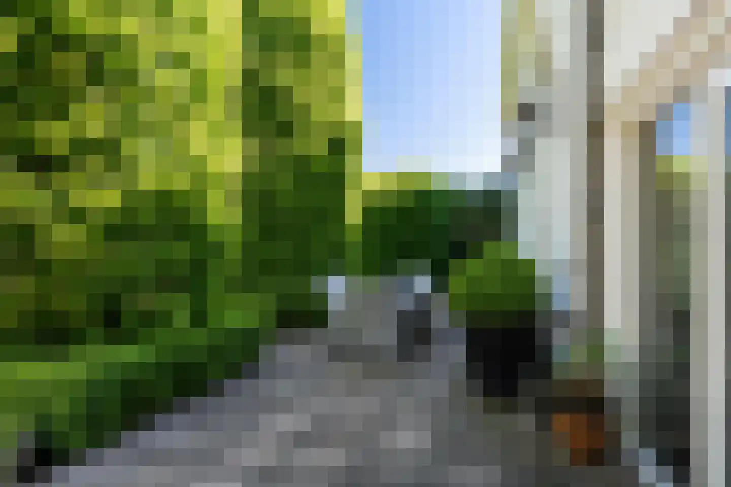 Westein 14 Aldeboarn thumbnail 12