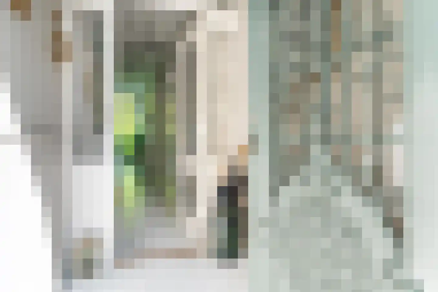 Westein 14 Aldeboarn thumbnail 14