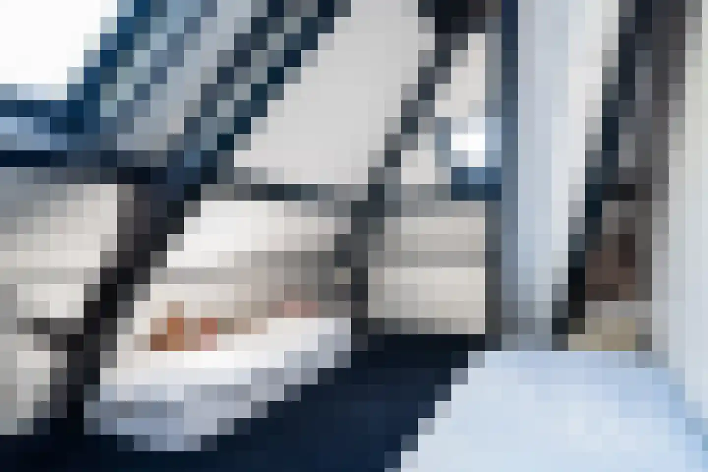 Westein 14 Aldeboarn thumbnail 38