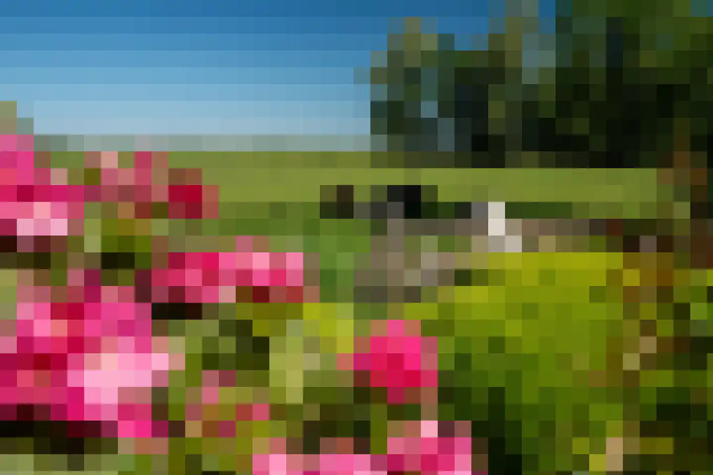 Westein 14 Aldeboarn thumbnail 45
