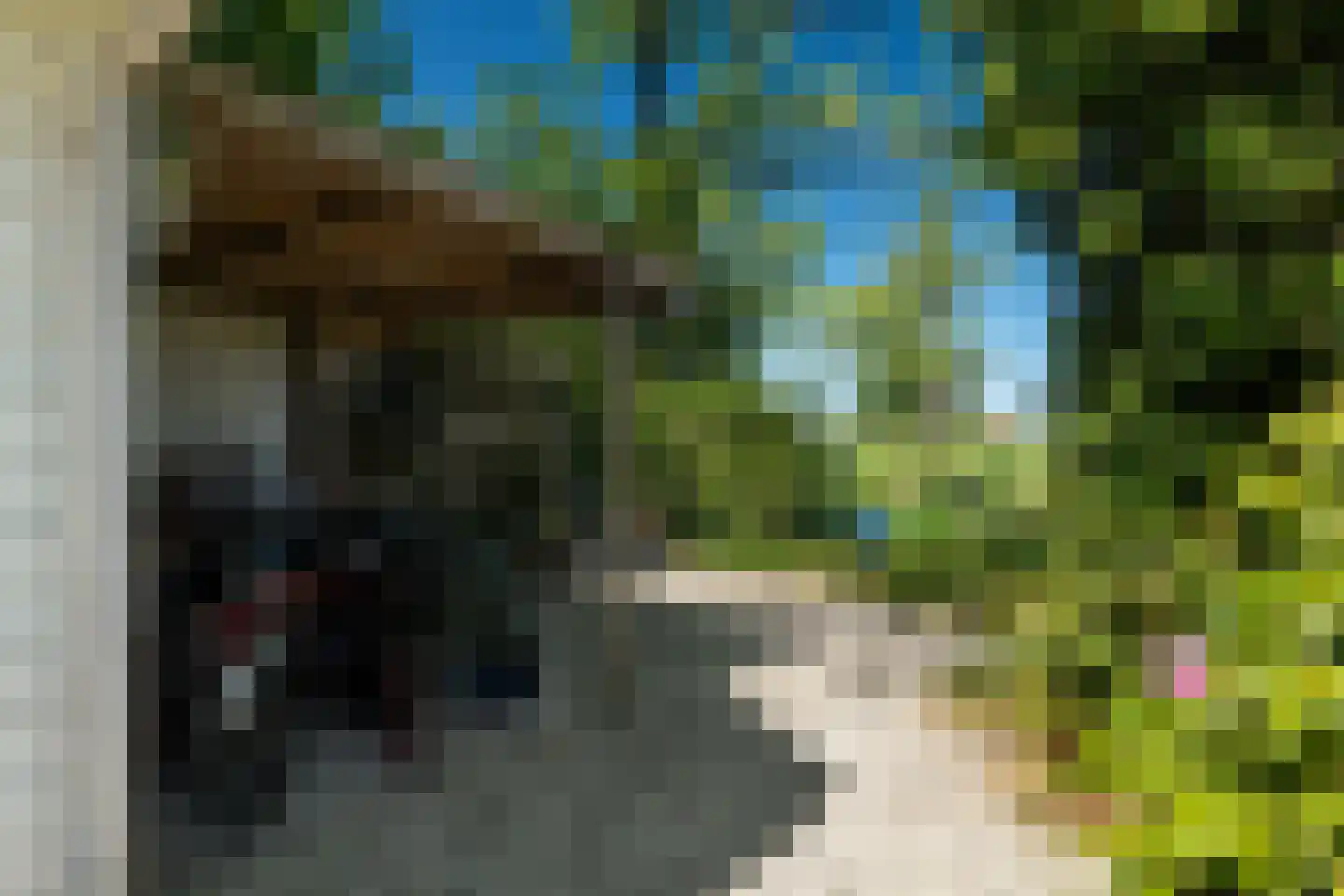 Westein 14 Aldeboarn thumbnail 46