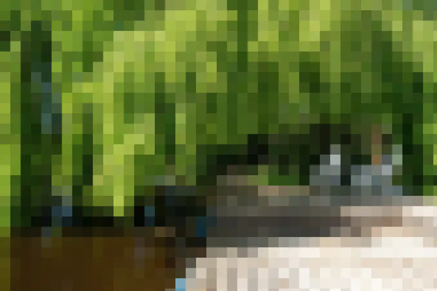 Westein 14 Aldeboarn thumbnail 5