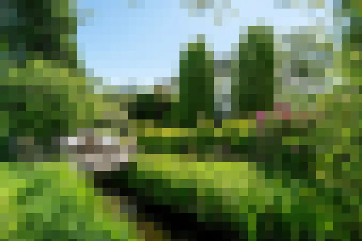 Westein 14 Aldeboarn thumbnail 50