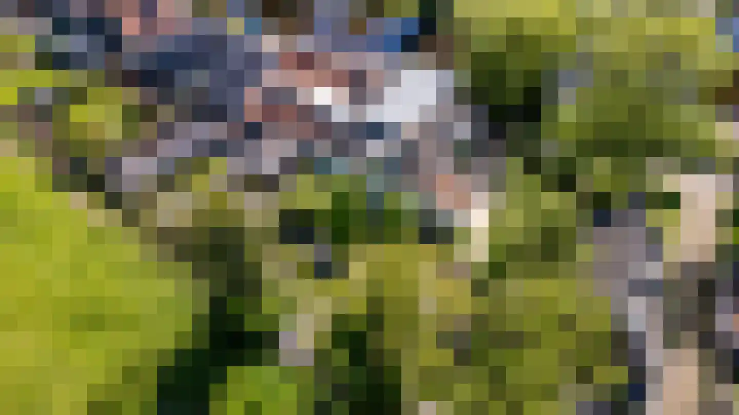 Westein 14 Aldeboarn thumbnail 53