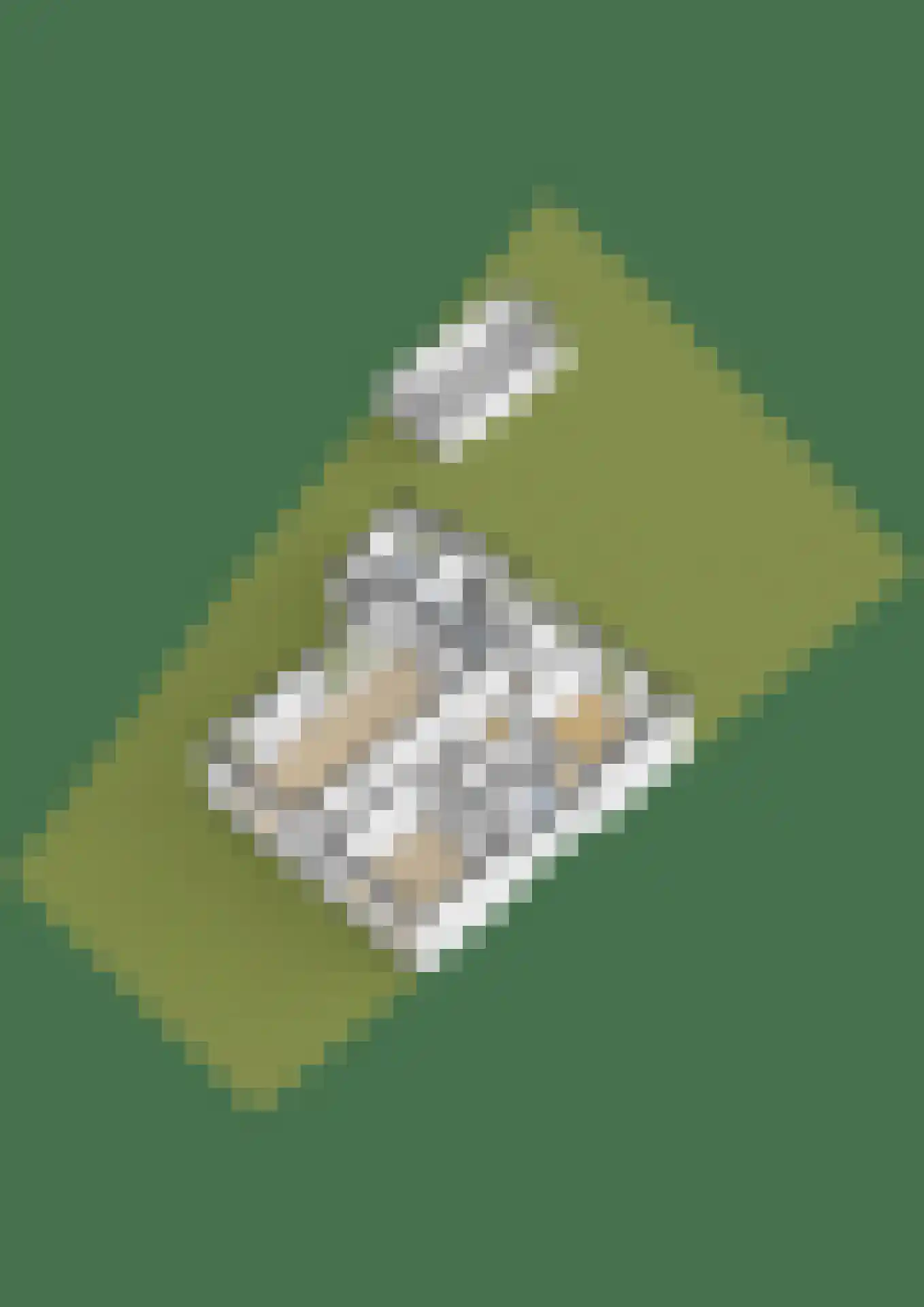 Westein 14 Aldeboarn thumbnail 64