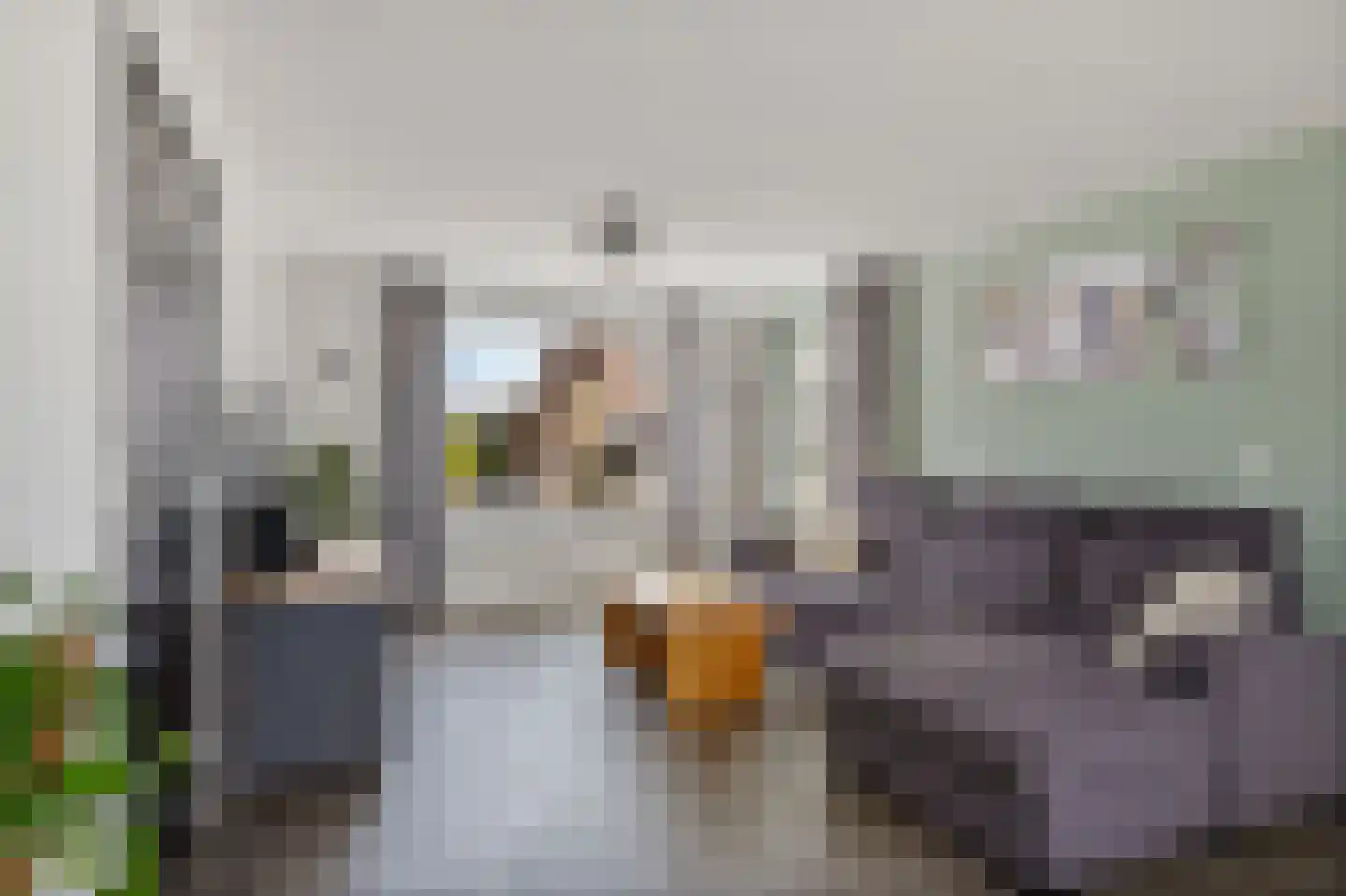 Westein 15 De Westereen thumbnail 10