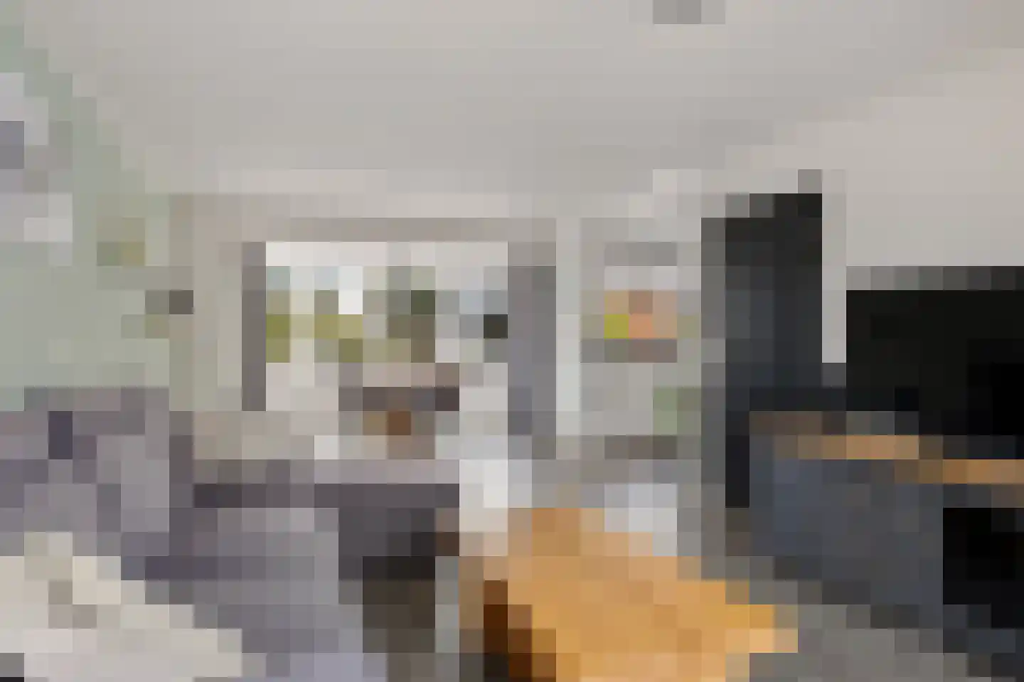 Westein 15 De Westereen thumbnail 11