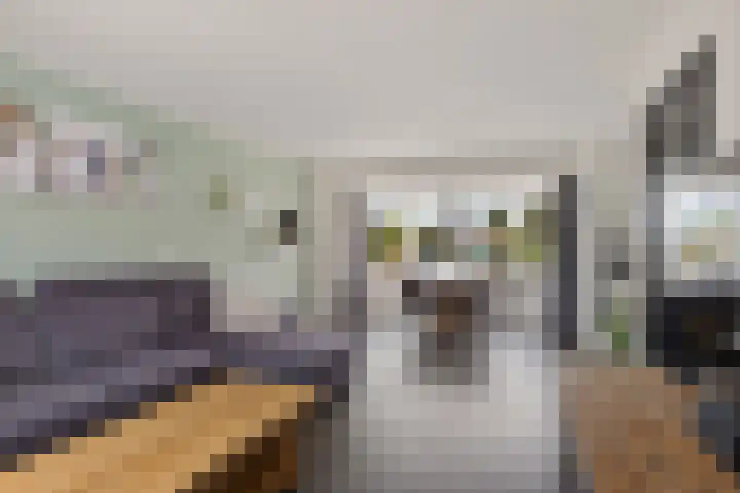 Westein 15 De Westereen thumbnail 12