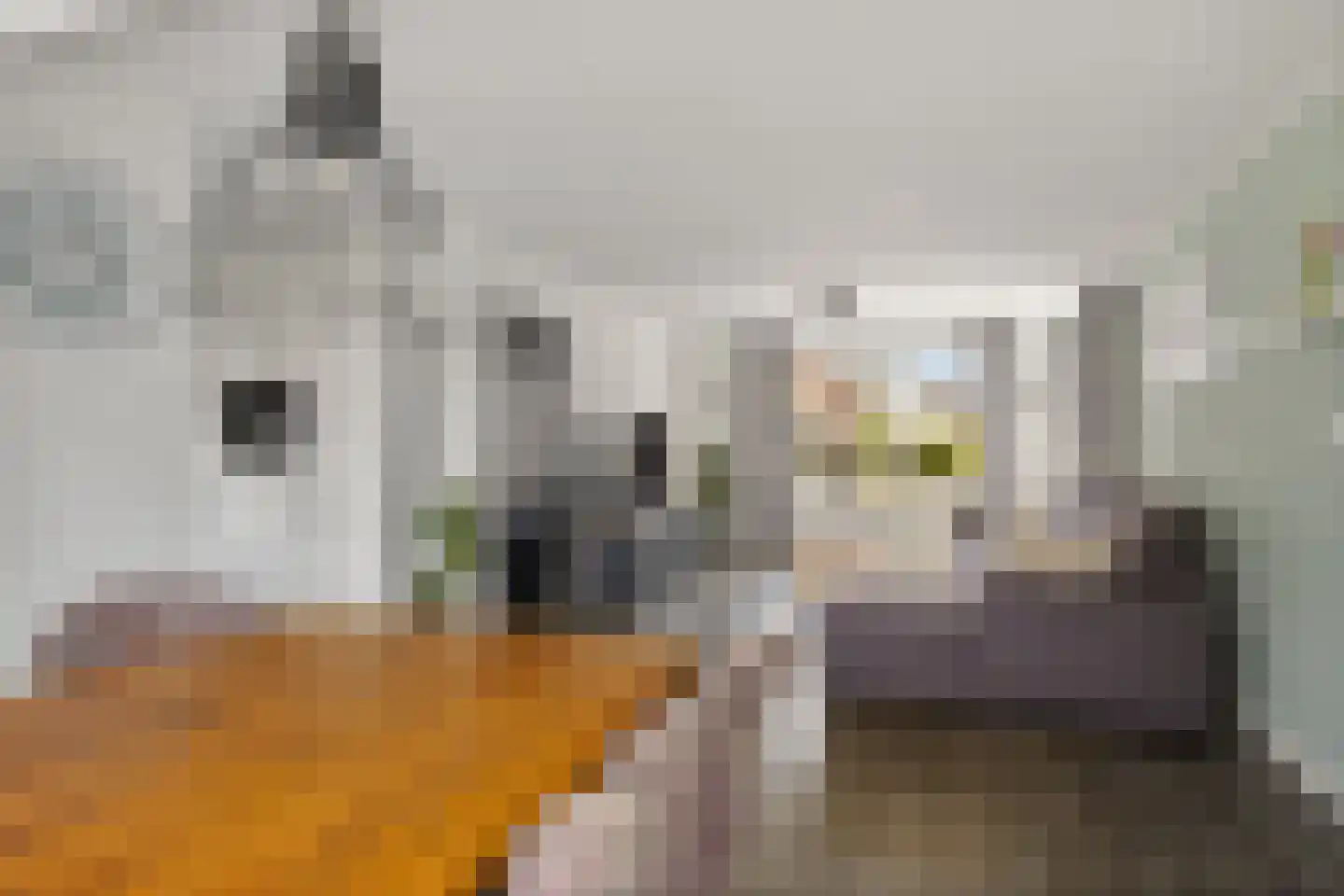Westein 15 De Westereen thumbnail 14