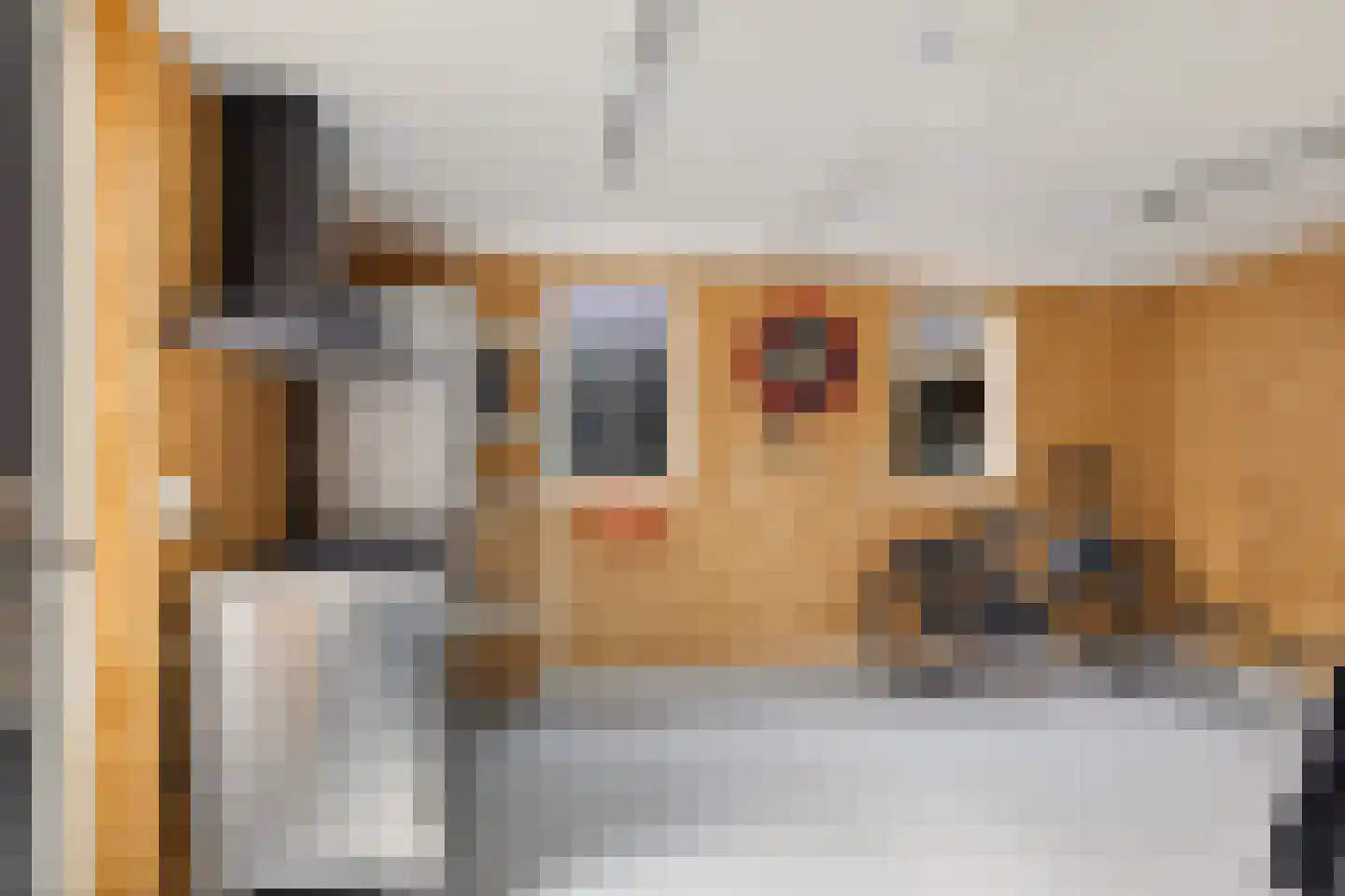 Westein 15 De Westereen thumbnail 20