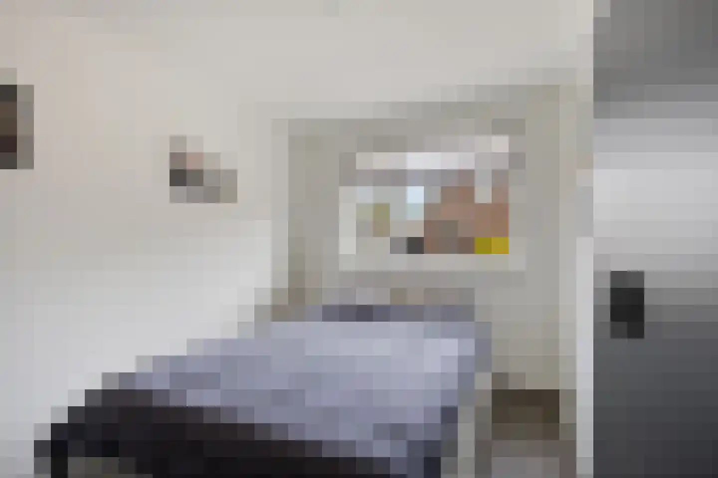 Westein 15 De Westereen thumbnail 21