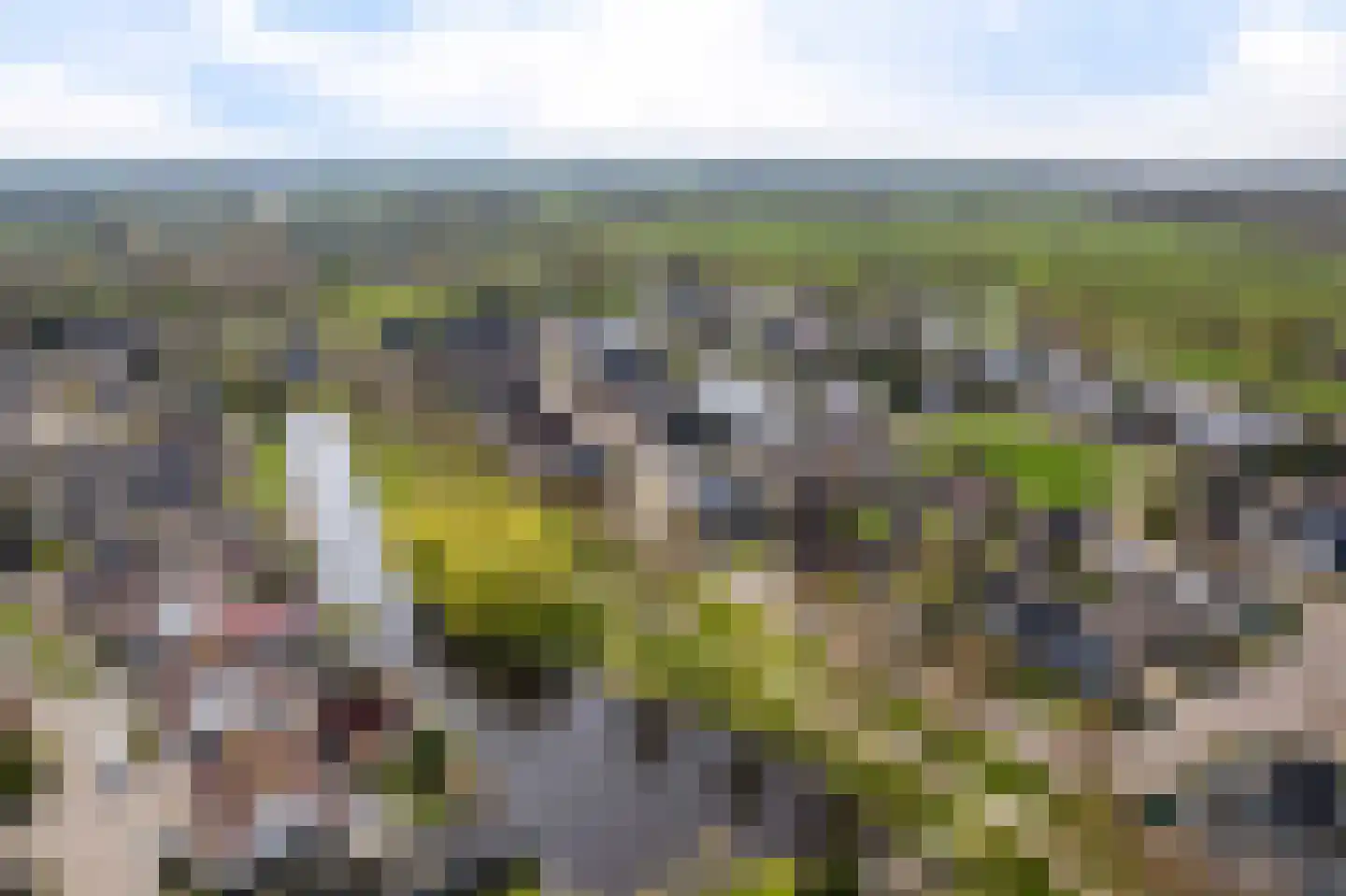 Westein 15 De Westereen thumbnail 46