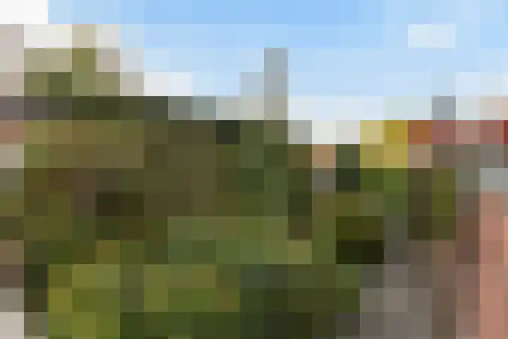 Westeind 112 Papendrecht thumbnail 24