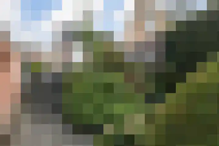 Westeind 112 Papendrecht thumbnail 25