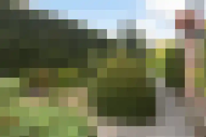 Westeind 112 Papendrecht thumbnail 26