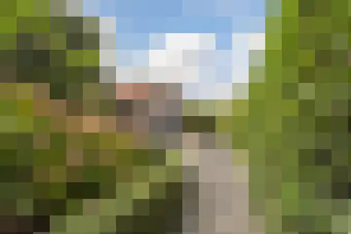 Westeind 112 Papendrecht thumbnail 28