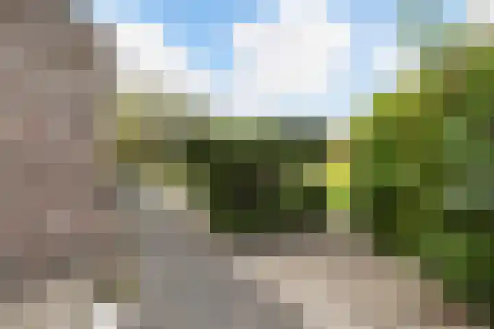 Westeind 112 Papendrecht thumbnail 31