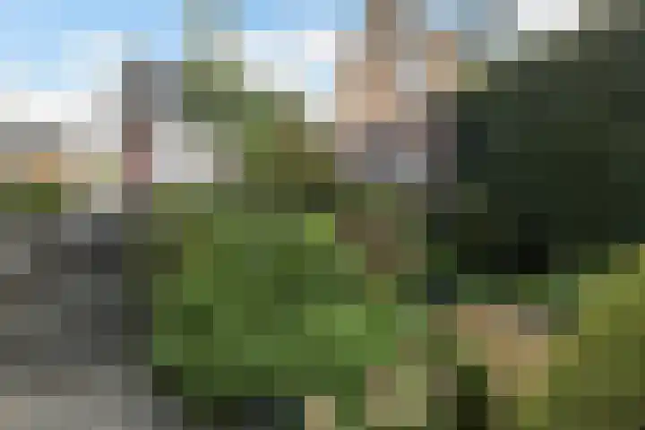 Westeind 112 Papendrecht thumbnail 4