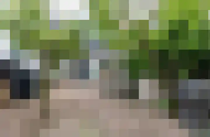 Westeind 144 Papendrecht thumbnail 33