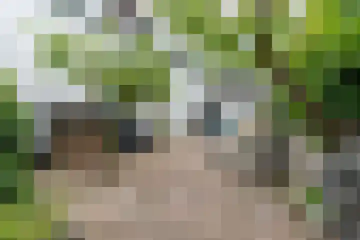 Westeind 144 Papendrecht thumbnail 34