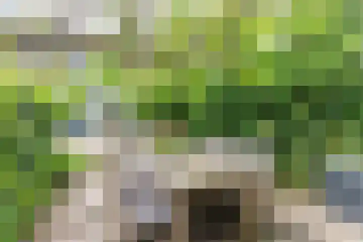 Westeind 144 Papendrecht thumbnail 35