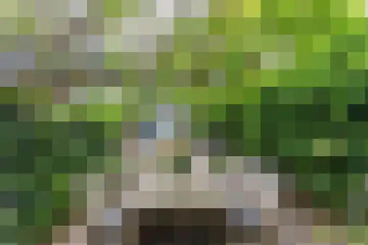 Westeind 144 Papendrecht thumbnail 36