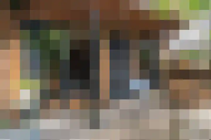 Westeind 144 Papendrecht thumbnail 39