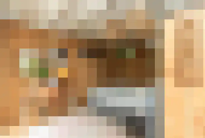 Westeind 144 Papendrecht thumbnail 42
