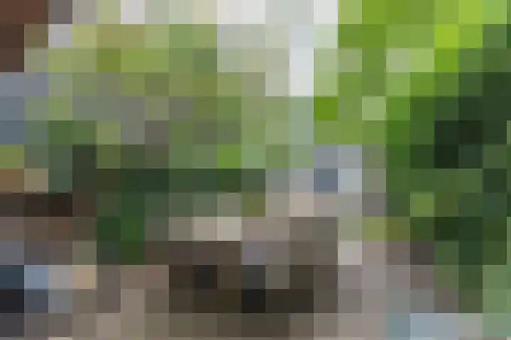 Westeind 144 Papendrecht thumbnail 46