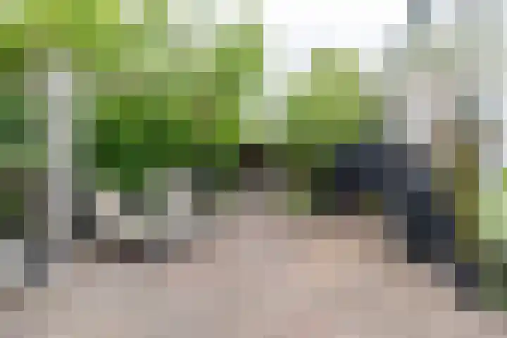 Westeind 144 Papendrecht thumbnail 48