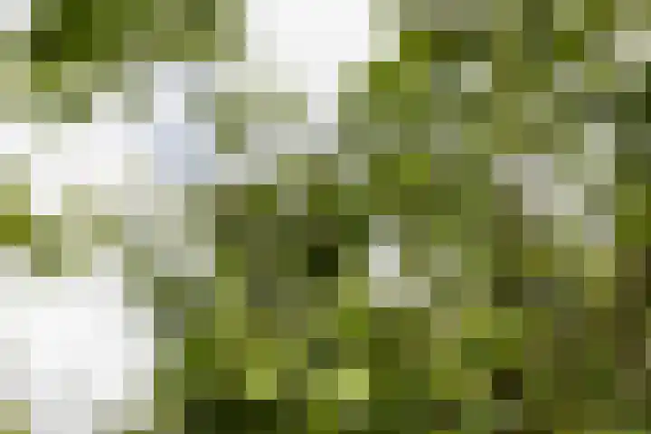 Westeind 144 Papendrecht thumbnail 51