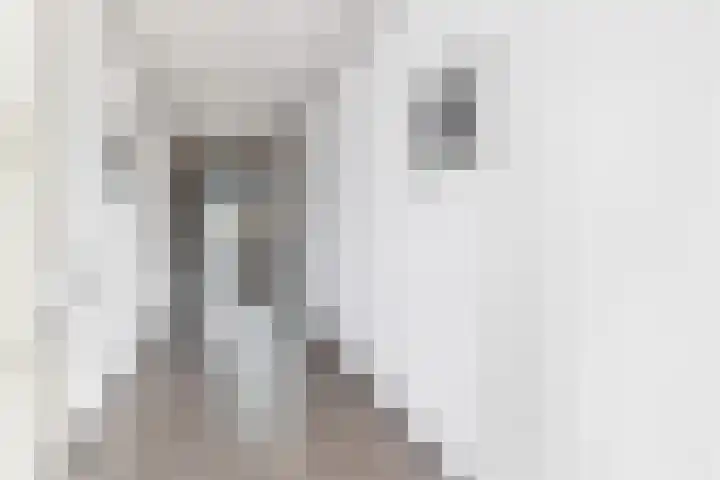 Westeind 20 D Norg thumbnail 10