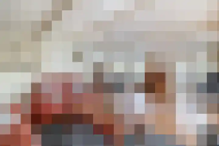 Westeind 20 D Norg thumbnail 18