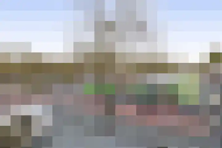 Westeind 20 D Norg thumbnail 19