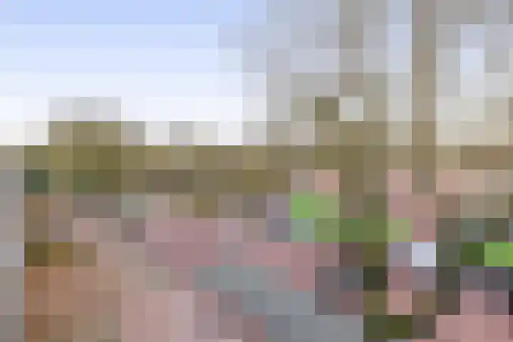 Westeind 20 D Norg thumbnail 21